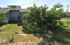Duplex parter, cu gradina si mini livada - 9