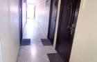 Apartament 47 mp, mobilat si utilat, cu pivnita - pret atractiv, Onces - 11