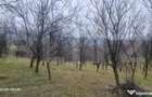 TEREN INTRAVILAN VEDERE PANORAMICA La 2 km de Manastirea CRA - 14