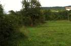 Vand teren intravilan 1,4 ha, Mehadia, Caras-Severin - 2