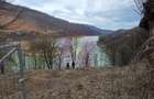 Teren cu deschidere la lac Valea Doftanei, Prahova - 2