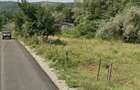 lot teren intravilan -comuna vladesti ,strada Tanturesti,Valcea - 3