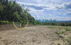 Teren 3.000 mp cu priveli?te panoramica spre Mun?ii Fagara? - 6