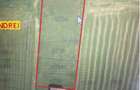 Teren intravilan 3671 mp SANTANDREI -, PUZ aprobat, parcelat, CF - 2