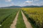 Teren extravilan 395 mp, Prejmer, Brasov - 3 600 euro - 2