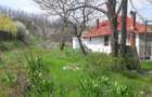 Casa si curte 1800m2 zona Colonesti, Olt tel. - 4