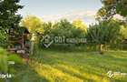 Casa cu 4 camere ?i teren de 2926 mp - 13