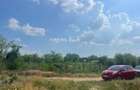 Vanzare teren intravilan Cernica_Tanganu, lot 954mp - 5