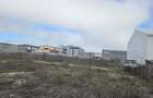 2500 mp teren industrial   stradal Popesti Leordeni