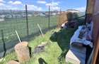Cabana si teren 660 m2 - 13