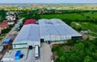 Inchiriere Hala Industriala 7.800 mp | Buzia?, Timi? - 9