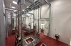 Black Angus Farm with authorized Slaughterhouse - 11