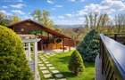 Vilă elegantă, 7 camere, cu sală de fitness și saună — Bucium, Iași - 4