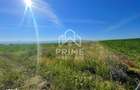 Teren extravilan | 2700 mp | Paclisa | Alba Iulia - 1