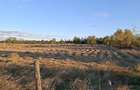 TEREN INTRAVILAN LA 2 KM DE PRIMARIA Campulung Muscel * 5000 MP Intravilan * Stradal * Accept schimb