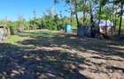Casă cu Teren 1500 Mp în Dor Mărunt - 3