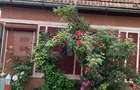 Casa de vanzare, 83 mp, zona Filea - 4