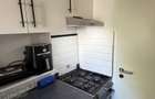 Apartament 3 camere, 40 mp, etaj 2, complet renovat si mobilat Str. Borsecului, Oradea - 4