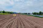 Teren- Com. Stefan cel Mare- jud. Neamt - 5
