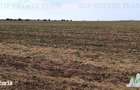 Oferim spre vanzare 6 loturi de teren extravilan (agricol) in Petrachi