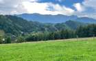 Oportunitate perfecta pentru un proiect turistic - 3.274 mp in Simon, Bran - pensiune, boutique-hotel, vile de vacanta sau complex eco-turistic