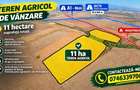Propietar -Teren 11 ha comasat Petrovaselo, Recas | vie / investitie - 4