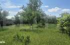 Proprietate de vanzare, teren 5488 mp, localitatea Ambud, comuna Paule - 6