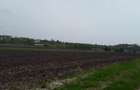 Teren extravilan, Cotofenii din Fata, jud Dolj -id 6954-0... - 3