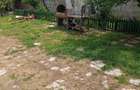 Casă cu Teren 1500 Mp în Mircea Vodă - 8