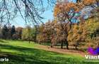 Apartament 2 camere | Valea Aurie | Aproape de Parcul Sub Arini - 8