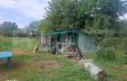 Teren intravilan 3283 mp cu utilaje, materiale si structura de casa, i - 6