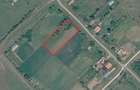Teren intravilan de vanzare in comuna Tarnova, sat Agri?u Mare, jude?ul Arad - 3