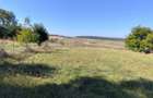 Vand teren pentru constructie in Vechea- Chinteni - 1
