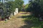 Casă cu Teren 620 Mp în Bărcănești