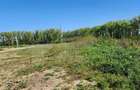 Investitie | Teren 18 hectare pentru exploatare nisip și pietriș |  - 4