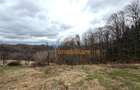 TEREN 34.000 MP | SERANI BIHOR - 4