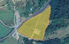 Plantatie Afini-TEREN|27.211mp+CONSTRUCTII|370 mp,Lapugiu de Jos - 2