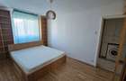 Chirie apartament 3 camere Bd. Tineretului - 5