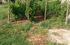Casă cu Teren 1465 Mp în Dulceanca - 2
