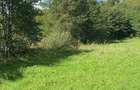 Vand teren intravilan in Beznea 25000 euro - 2