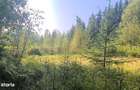 Neagra Sarului - Saru Dornei, Teren S = 6450 mp; 13 km de Vatra Dornei - 17