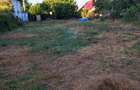 Teren Intravilan | Copaceni IF | 732mp - 3