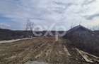 Teren 1.500 mp lângă pădure, Albota – liniște, natură și potențial de parcelare - 4