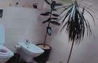Vand duplex zona Horpaz 120mp 4camere 2 bai 6km de centru orasului - 7