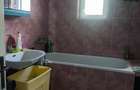 DE VÂNZARE – Domeniu cu casă, teren și afacere zootehnică avicolă în Dochia, NT - 12