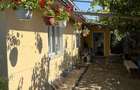 Casa de vanzare cu teren 650 m Gheraiesti Bacau