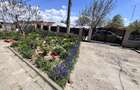 Casa cu teren de vanzare in Rastoaca - 4