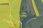 Teren de vanzare 5.850 mp Poieni?a de vis la 2 km de Dunare, Crusovita (Cara?-Severin) - 5