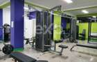 Sala de forta de vanzare in Berceni - 18