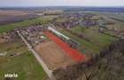 NUCI - BALTA NEAGRA, LOT 7000 MP, LA PADURE! - 9
